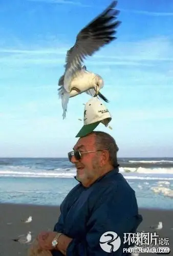 难以想象的另类搞笑瞬间(34)_光明网