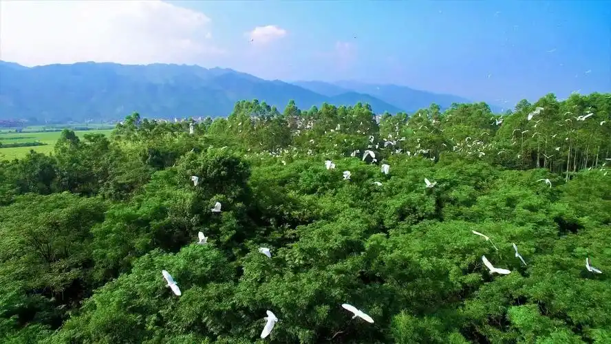 桂林这些国家级神仙颜值的地方值得一游