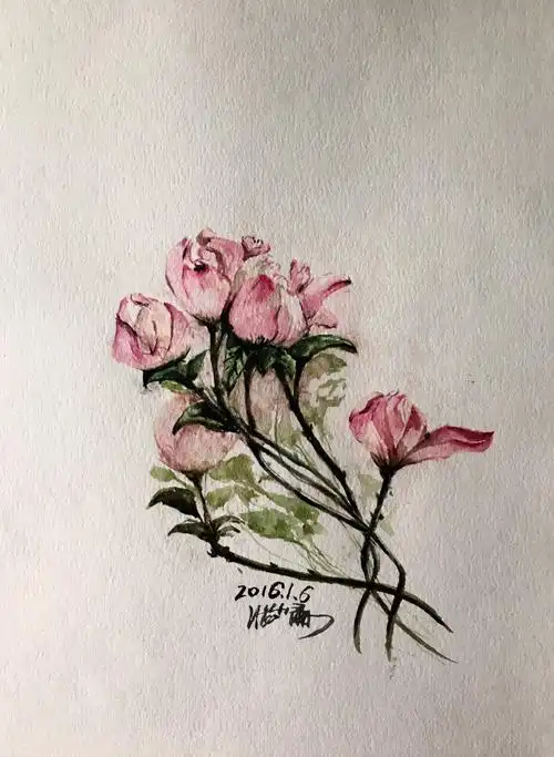 水彩入门,循序渐进-堆糖,美好生活研究所