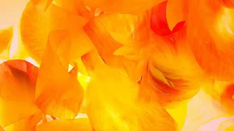 三星galaxy m10官方内置多彩壁纸