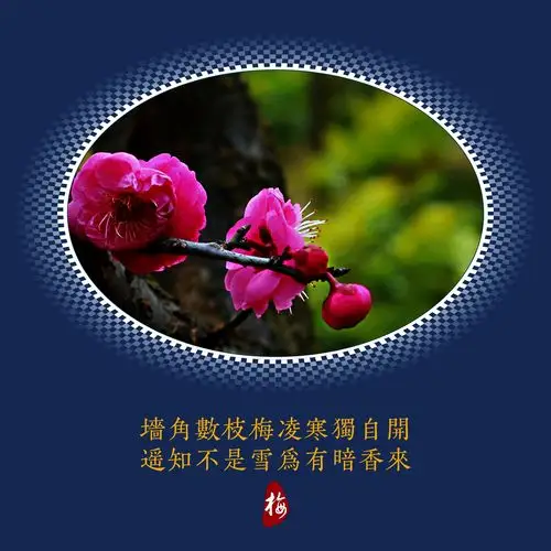 《红楼梦》咏红梅花 (花字)
