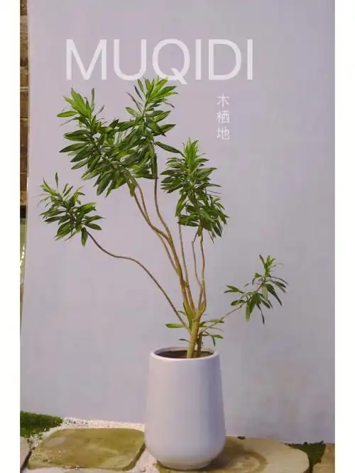 木栖地享受生活美好当下