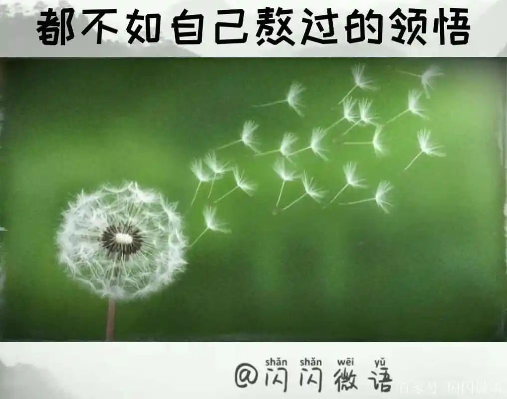 听再多的道理,都不如自己熬过的领悟,请与悲伤和解