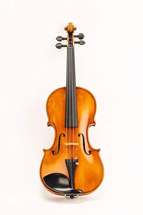 d z strad model 512 小提琴 4/4 全尺寸专业手工制作 $900 免费礼品