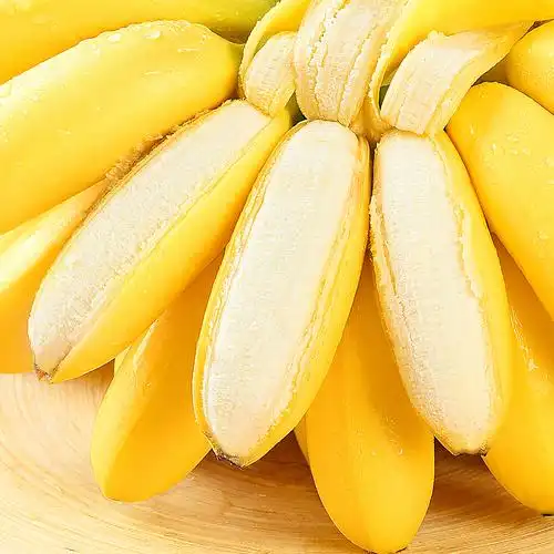 广西香蕉新鲜小米蕉水果包邮香焦小香蕉(热品库)