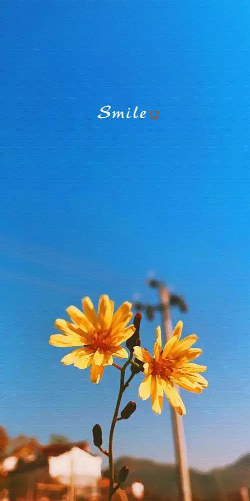 简约时尚清新淡雅的手机壁纸