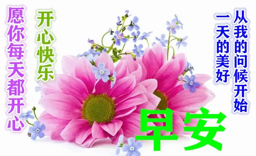 9月15日早上好动态表情图片大全,早晨好动图美图大全_祝福