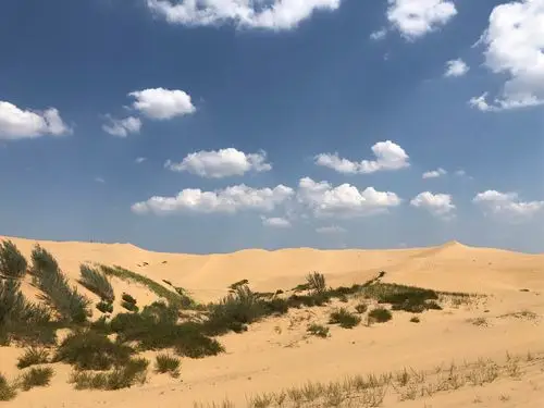 内蒙古呼和浩特希拉穆仁草原六天游(中)