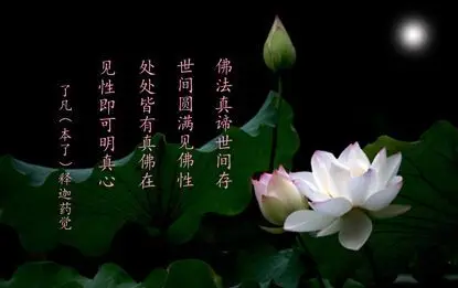 2018-04-06 佛家与莲花
