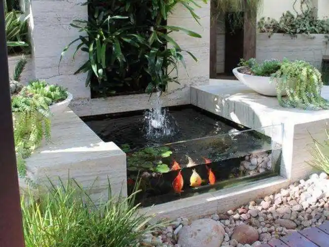 11566庭院鱼池的开挖切记挖的奇形怪状,一定要挖的相对方正规则