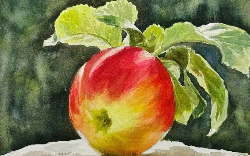 【水彩】静物-水果