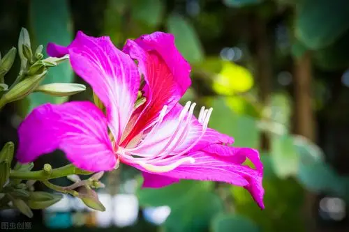 原创长期不换微信头像的人往往是以下几种心态