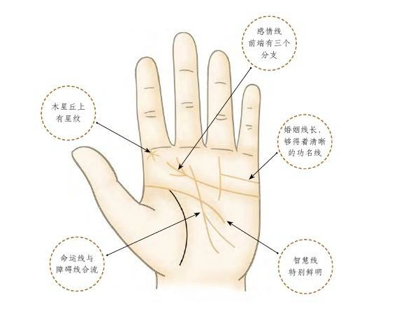 手背上有肉窝的人称为富贵要有四个才能算面相大师风水八字同城网