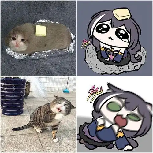 画师大佬把猫咪和公主连结做了结合,快给我变|养猫|猫耳|猫娘_网易