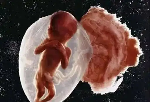 孕6个月,孕妇左侧卧胎动的厉害,压到胎儿了?或许是这6个原因