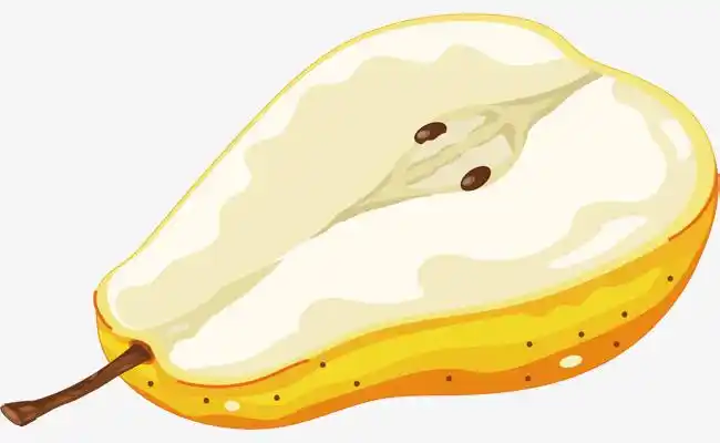 水果插图卡通鸭梨矢量图下载