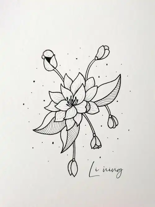 零基础学画画  #简笔画  #画画的日常  #针管笔手绘  #花卉  #画画