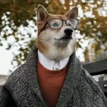 一组社会狗头像