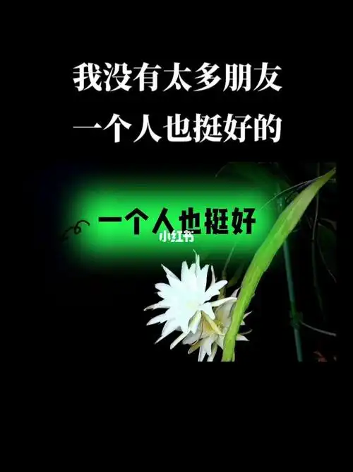 我没有太多朋友一个人也挺好06正能量
