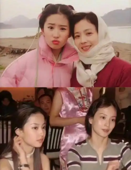 刘亦菲家人照片 基因的稳定发挥