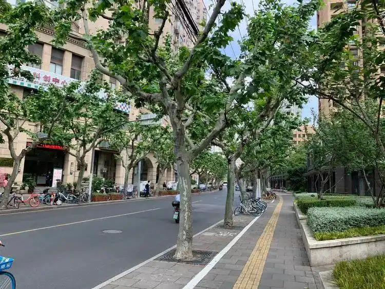 齐子林(摄于2020年5月7日上午)昌平路,康定路街景诉上海老底子情叙