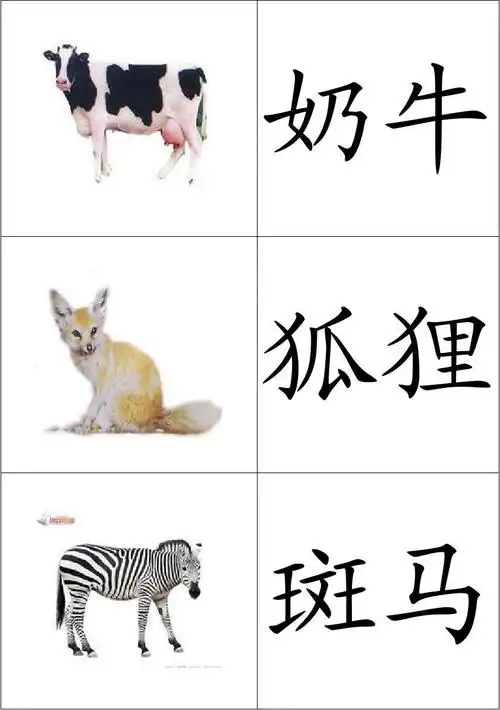 基础动物卡片(幼儿识图)
