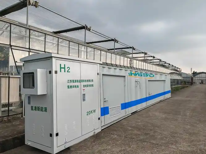 江苏氢港"20kw光储氢热电联供系统"落地上海交大农学院