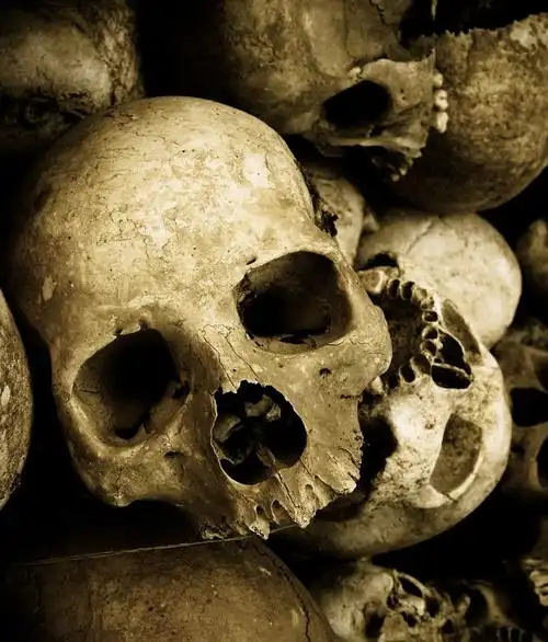 收藏 关键词:骷髅头摄影高清图片图片下载,骷髅头,头骨,头颅,恐怖