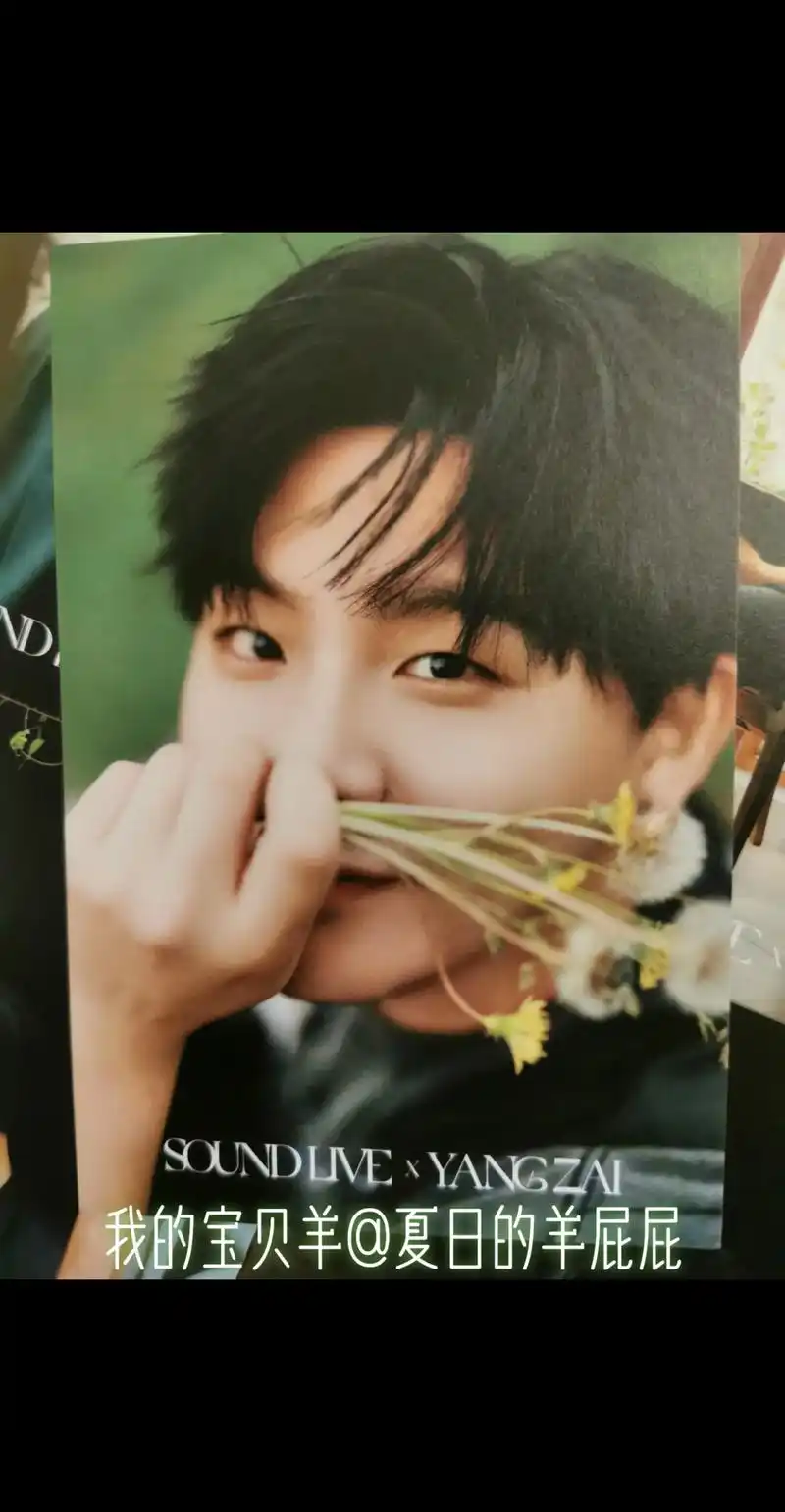 这套照片真的太好看了#cv羊仔 @夏日的羊屁 - 抖音