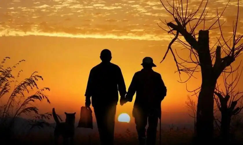 谁人与你立黄昏?白发老伴美了夕阳美了情