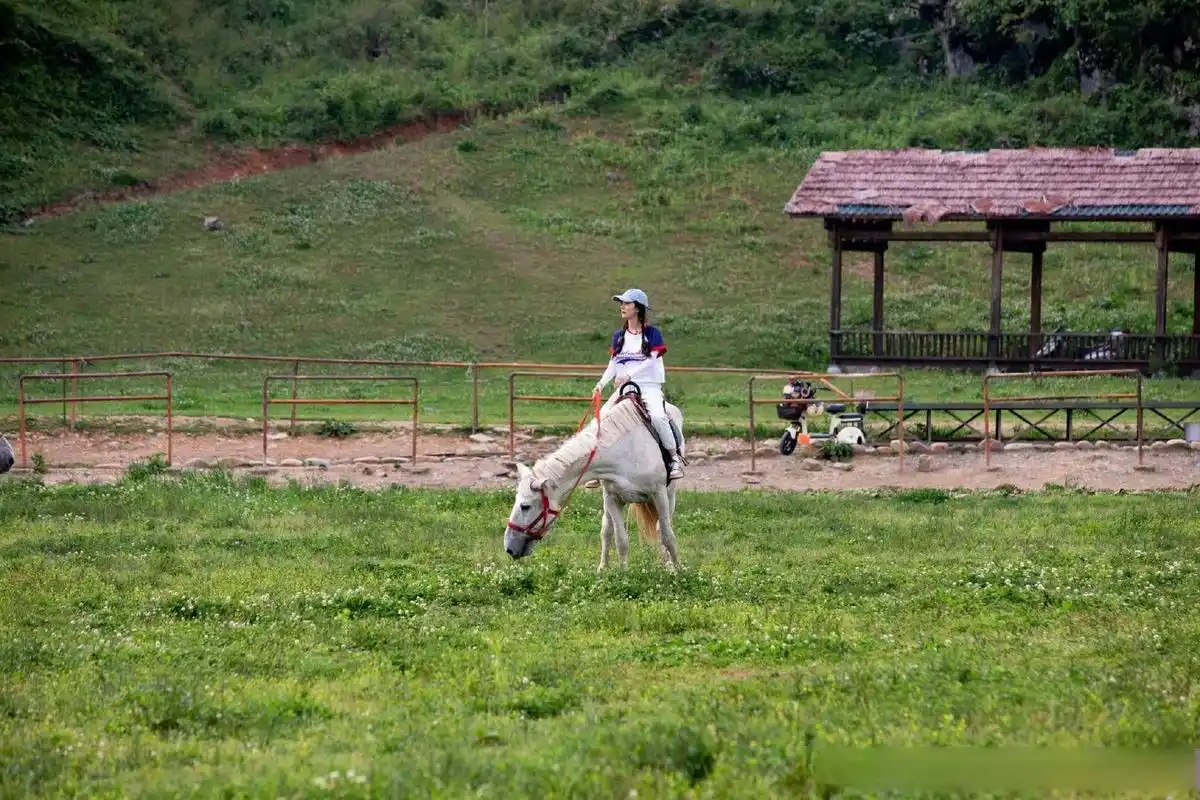 花少杨幂骑马剧照# 《花少》杨幂骑马剧照来啦!