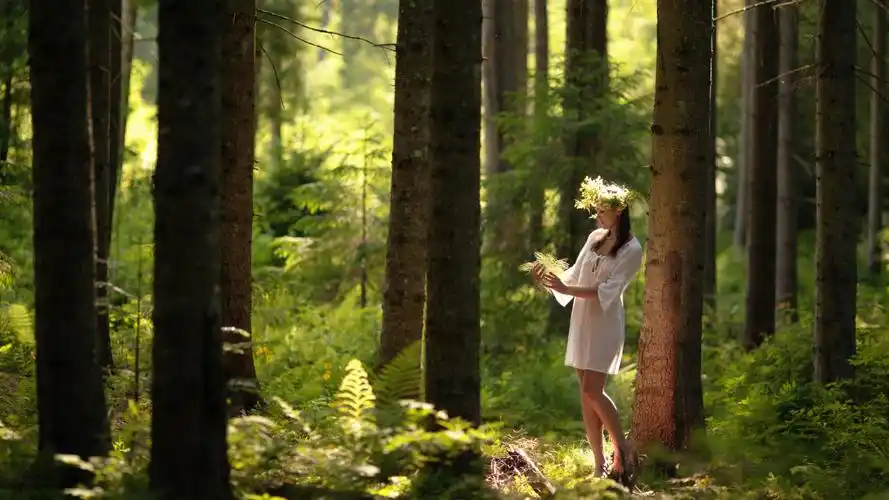 首页 桌面壁纸 森林里的唯美清新美女高清壁纸上一张下一张查看原图