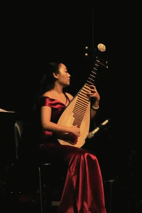 琵琶独奏《十面埋伏》  古曲