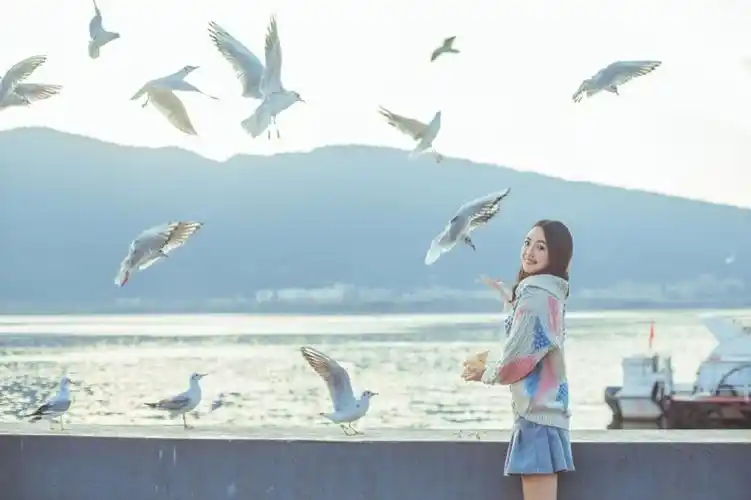 高清美女摄影:海鸥与你,惬意时光