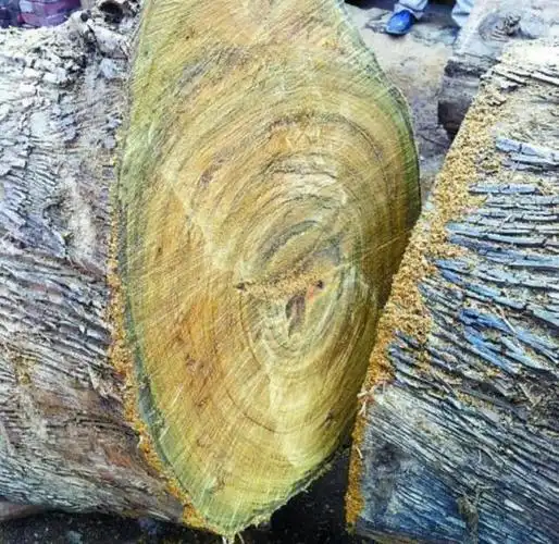 湖北老汉祖传值8亿金丝楠木屋未捐国家却以百万价格出售