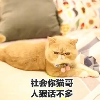人狠话不多 - 一只满脸都是愁容和不屑的橘猫_橘猫_愁容_萌萌哒表情