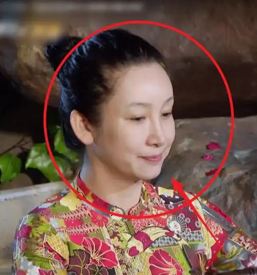 《妻子5》集体泡温泉,全员卸妆出镜,42岁秦海璐的素颜我看愣了