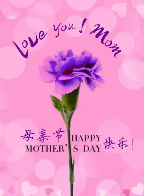 母亲节祝福大素材精选,感恩母亲高清带字片文案