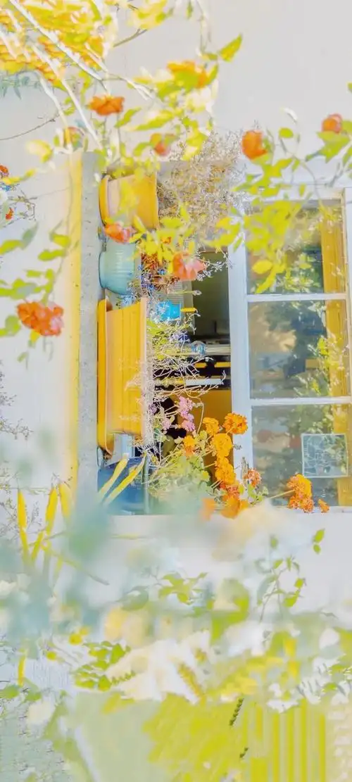 干净清爽的手机壁纸