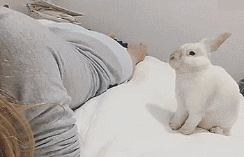 为什么女主播都爱穿浅色午间福利动态图