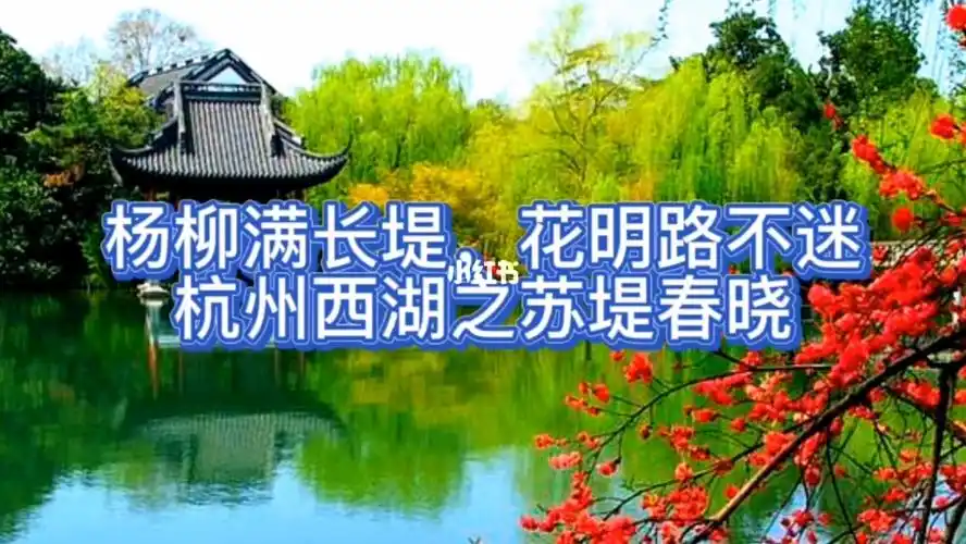 杭州西湖之苏堤春晓