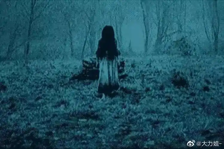 贞子的真实原型被生母推到井里用意念做出录像带