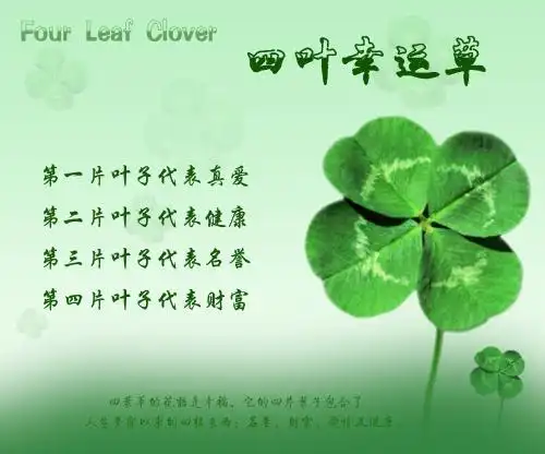 四叶草图片