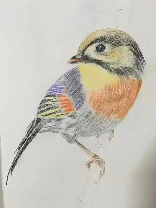 彩铅绘画|插画|创作习作|anludy - 原创作品 - 站酷 (zcool)