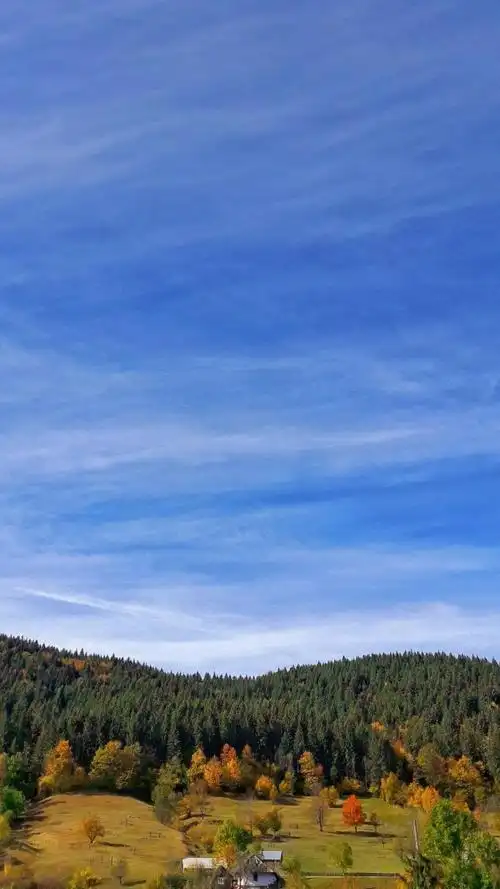 1080_1920竖版 竖屏