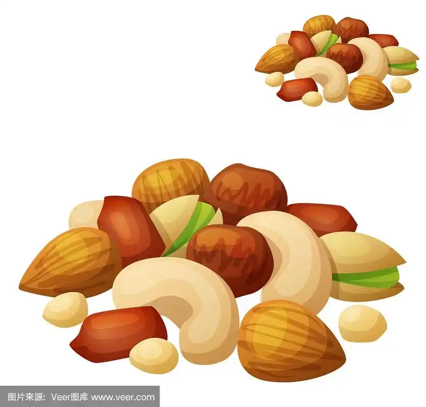 坚果,卡通,矢量,计算机图标,白色背景