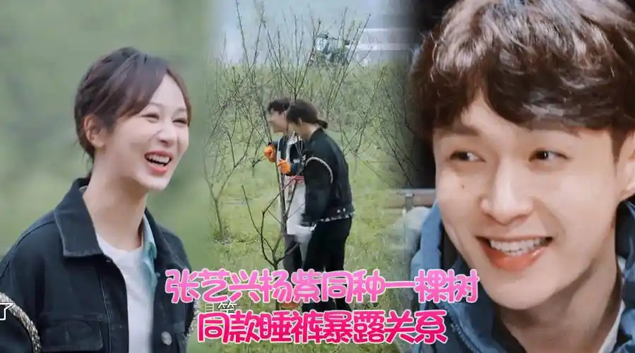 张艺兴杨紫同种一棵树,在节目中形影不离,同款睡裤暴露关系