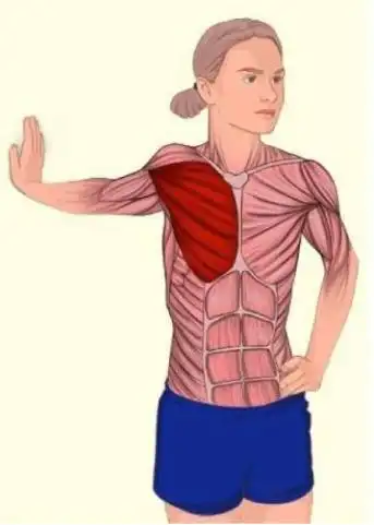 男生把胸练这么圆显娘炮?彭于晏的"方形胸肌"才是你的目标啊