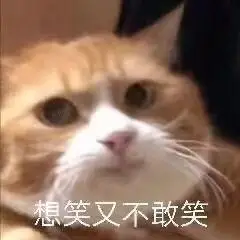 想笑又不敢笑(猫猫表情包)