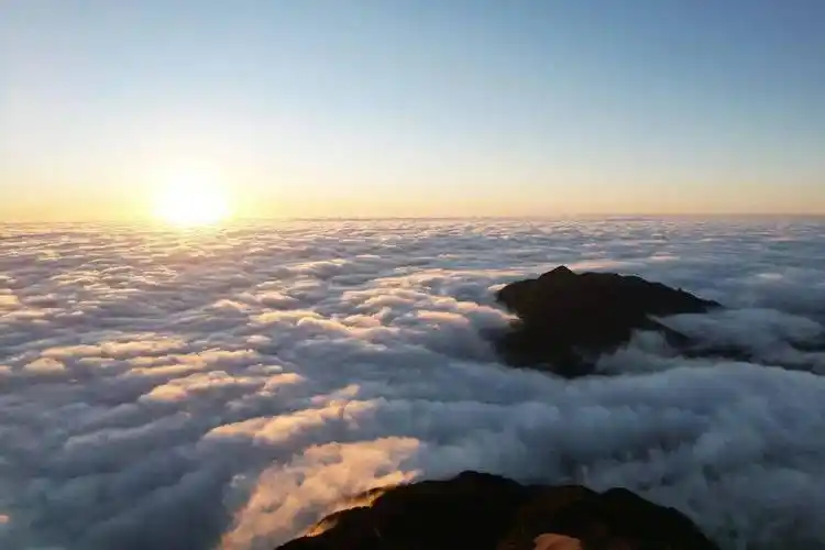 超惊艳!今日份武功山云海上线